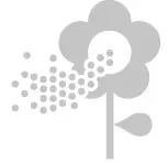 dyson Purifier hot+cool formaldehyde-informetin 2