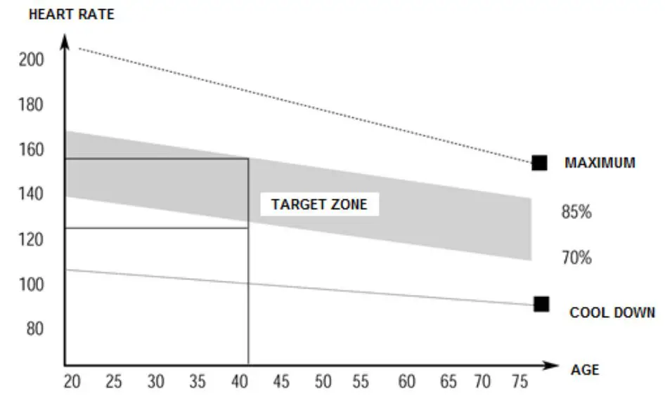 insportline IN 1227 Multi-Purpose Bench Profi Sit Up Bench - Heart rate