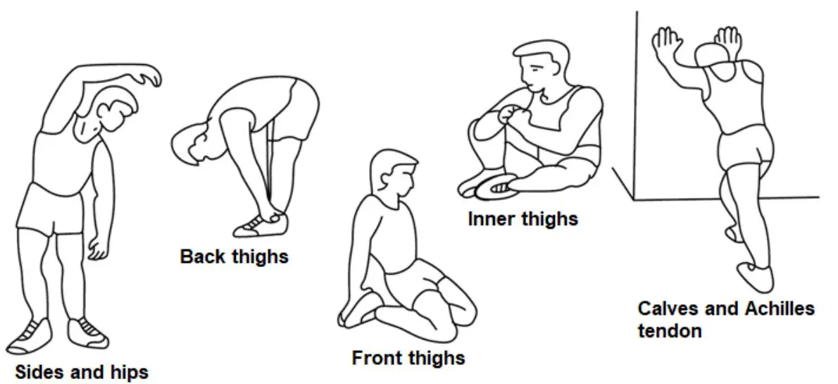 insportline IN 1227 Multi-Purpose Bench Profi Sit Up Bench - Warm up