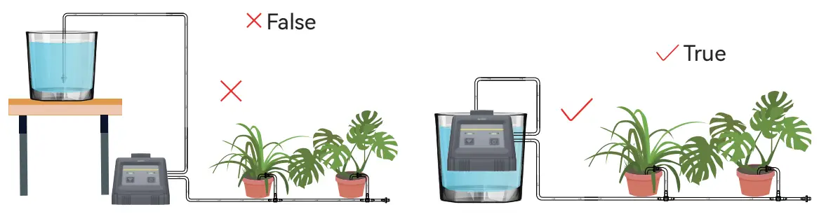 Determine the correct placemen