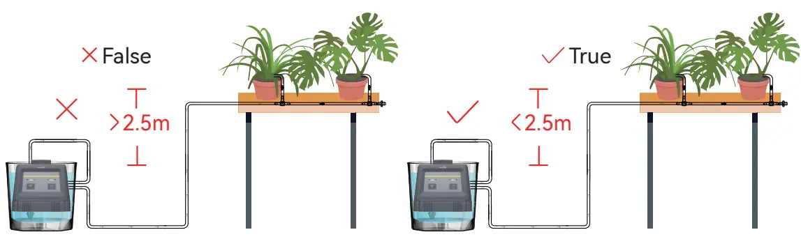 Determine the correct placemen