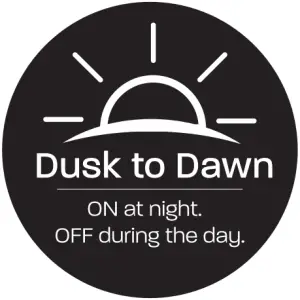 Dusk to Down