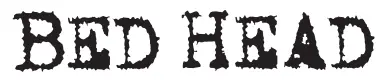 BED-HEAD-LOGO