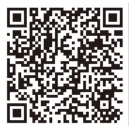 QCY T13 True Wireless Earbuds- QR