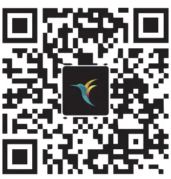 bEbird R1 Smart Visual Ear Clean Rod - Qr Code