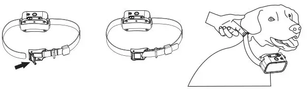 PATPET Remote spray trainer - Assembly the Receiver Collar