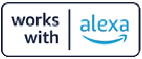 Connect to Alexa or Google Assistant