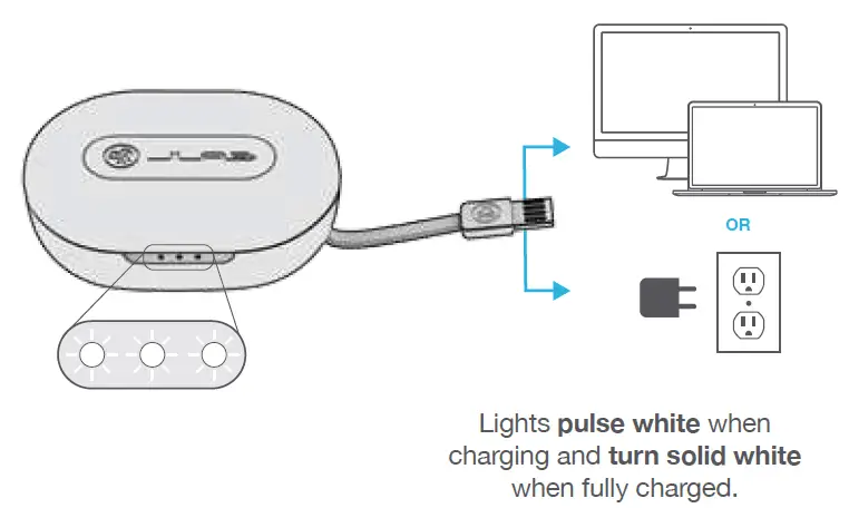 JLAB JBuds Air Sport True Wireless Earbuds FIG 8
