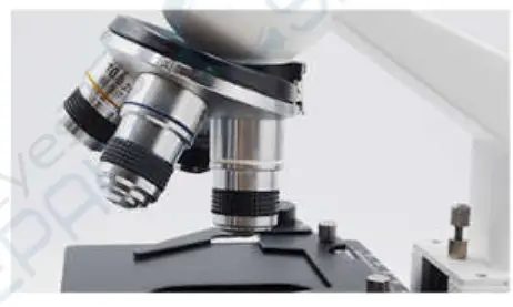 Supereyes A11 1521 Student Microscope - FIG 1