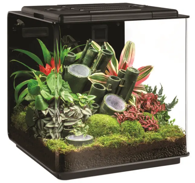 biOrb 77382 Earth Charterhouse Aquatics
