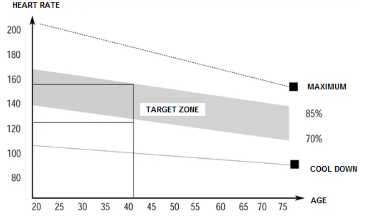 insportline IN 561 Adjustable Workout Bench - EXERCISING