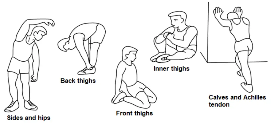 insportline IN 561 Adjustable Workout Bench - WARM UP