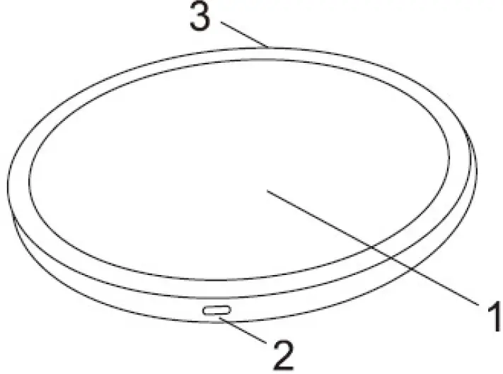 SECOMP 19111011 ROLINE Wireless Charging Pad for Mobile Devices 10W 01