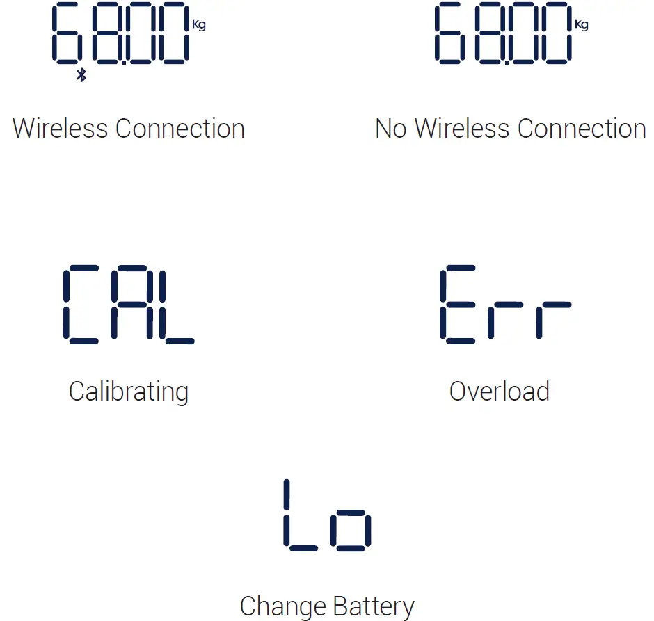 Etekcity ESF18 Smart Fitness Scale Common Display Codes