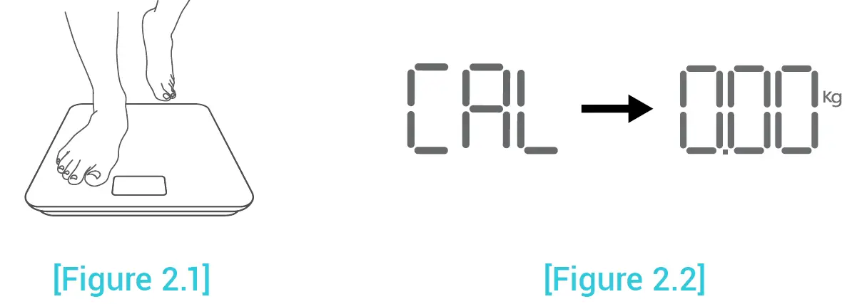 Etekcity ESF18 Smart Fitness Scale Maintenance