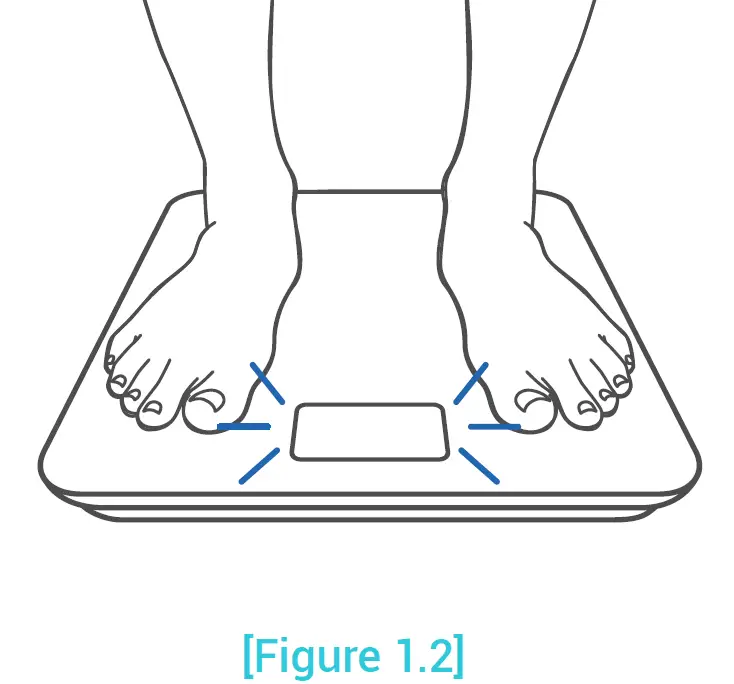 Etekcity ESF18 Smart Fitness Scale Using the Smart Scale 1