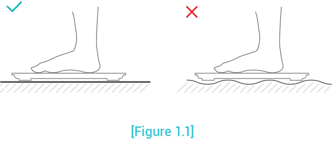 Etekcity ESF18 Smart Fitness Scale Using the Smart Scale