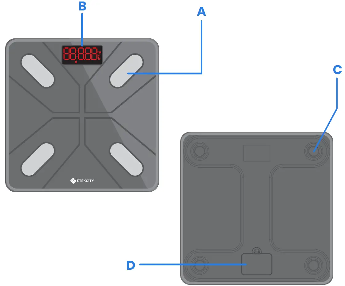 Etekcity ESF18 Smart Fitness Scale function diagram