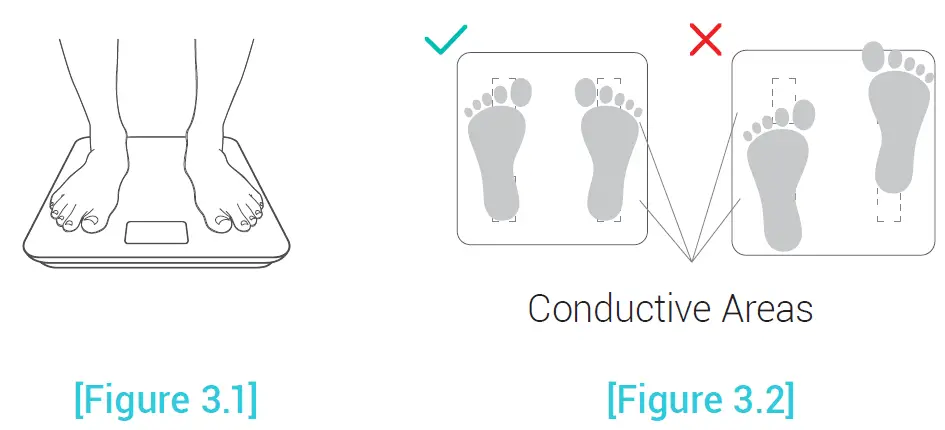 Etekcity ESF18 Smart Fitness Scale troubleshooting