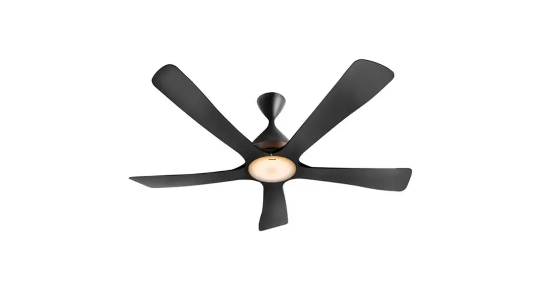 Panasonic F-m15ec 5 Blade Ceiling Fan Instruction Manual