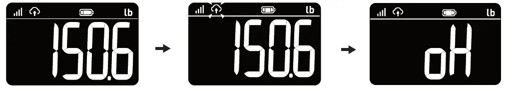 iScale-SMSC2001-G-001-Cellular-Weight-Scale-FIG-11