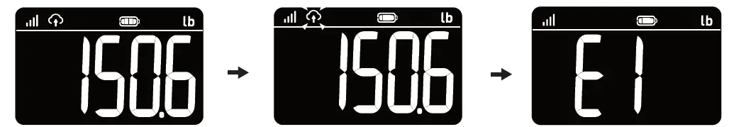iScale-SMSC2001-G-001-Cellular-Weight-Scale-FIG-12