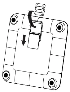 iScale-SMSC2001-G-001-Cellular-Weight-Scale-FIG-4