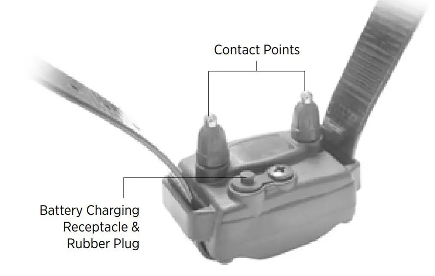 DOGTRA Intuitive Compact Trainer For Professionals - DOGTRA JUST RIGHT Receiver OVERVIEW