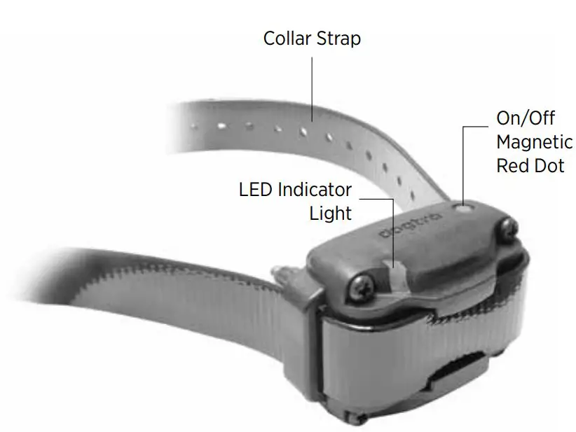 DOGTRA Intuitive Compact Trainer For Professionals - DOGTRA JUST RIGHT Receiver OVERVIEW