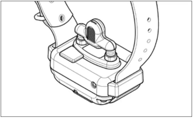 DOGTRA Intuitive Compact Trainer For Professionals - Using the Test Light