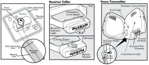 FIG 2 Key Definitions