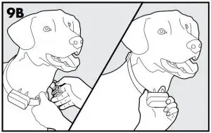 FIG 35 To assure a proper fit