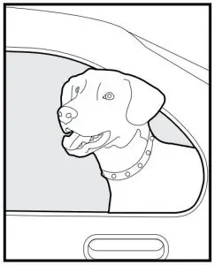 FIG 40 Taking Your Pet Out of the Pet Area