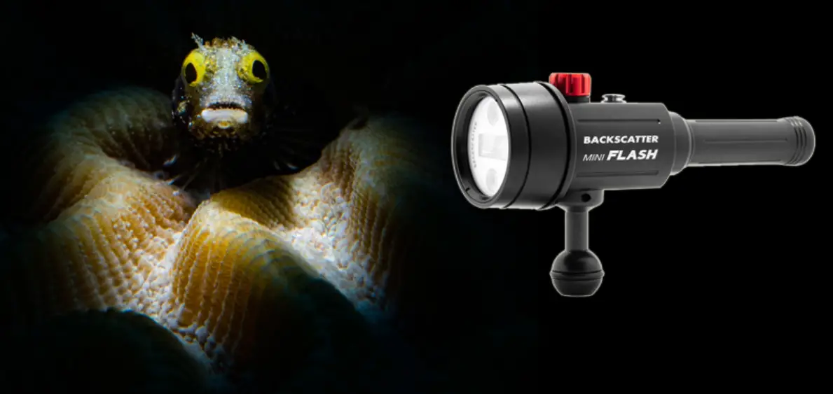 Backscatter Mini Flash 2 Underwater Strobe Plus Light User Manual Backscatter Mini Flash 2 Underwater Strobe Plus Light User Manual