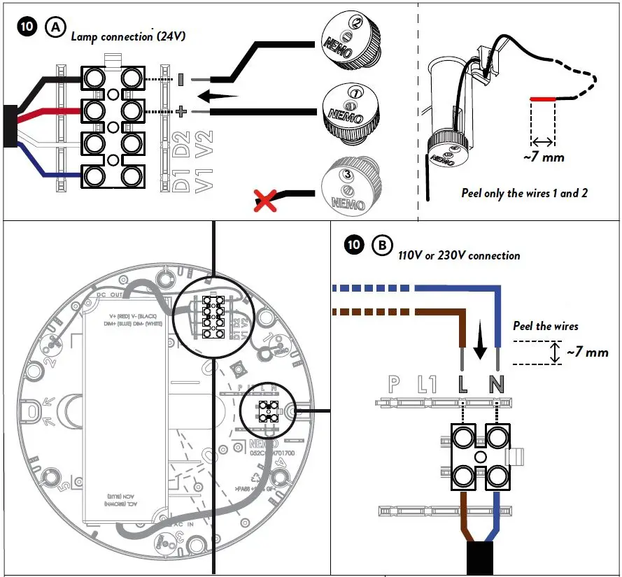 NEMO-ELLISSE-MINOR-MAJOR-MEGA-FIG-10