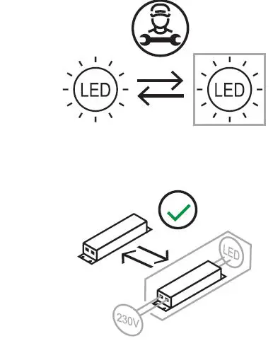 NEMO-ELLISSE-MINOR-MAJOR-MEGA-FIG-14