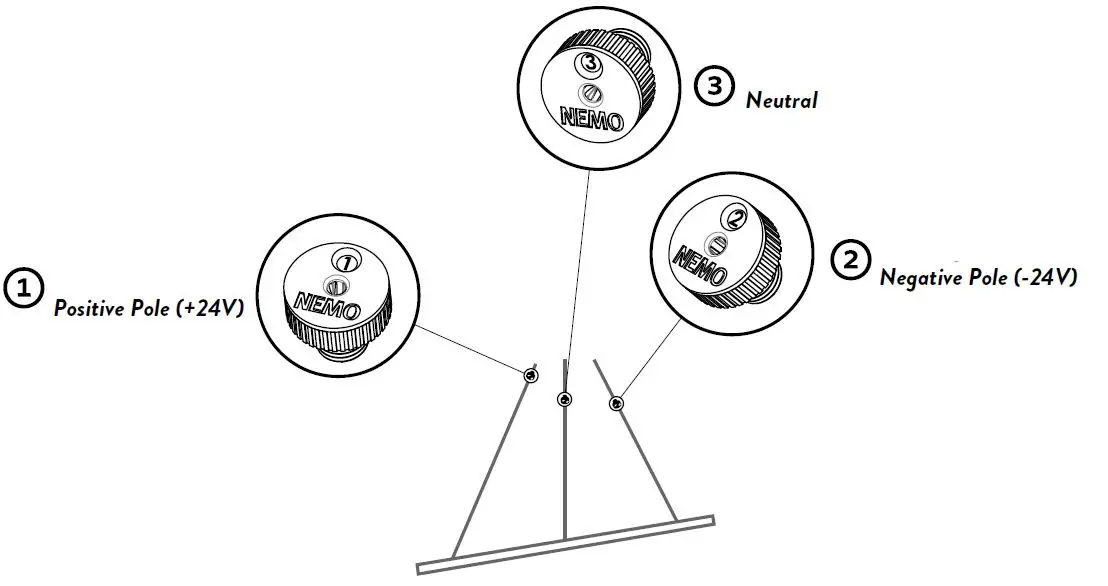 NEMO-ELLISSE-MINOR-MAJOR-MEGA-FIG-9