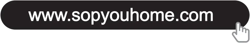 SOPYOU P2 - website search