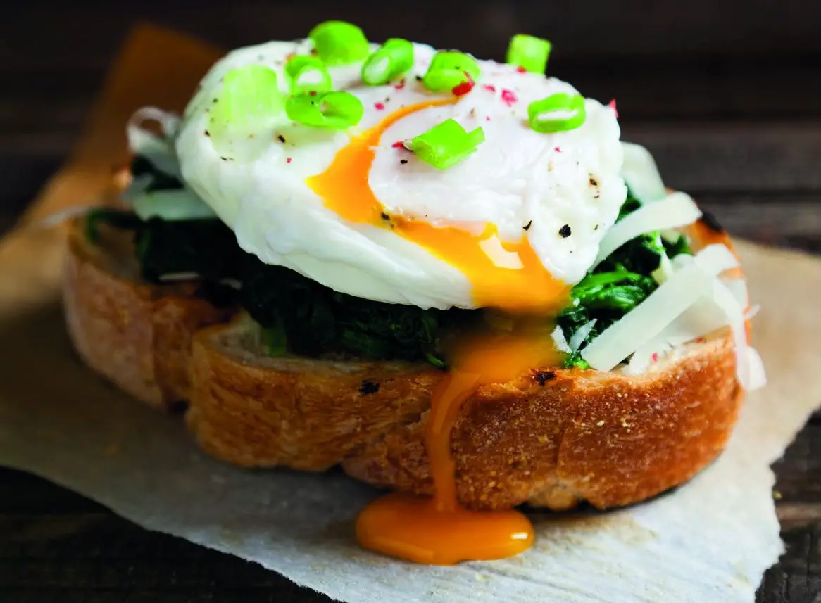 morphy richards 511645 Mico Multipot Cooker -fig