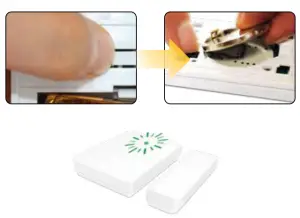 Assembly Instruction