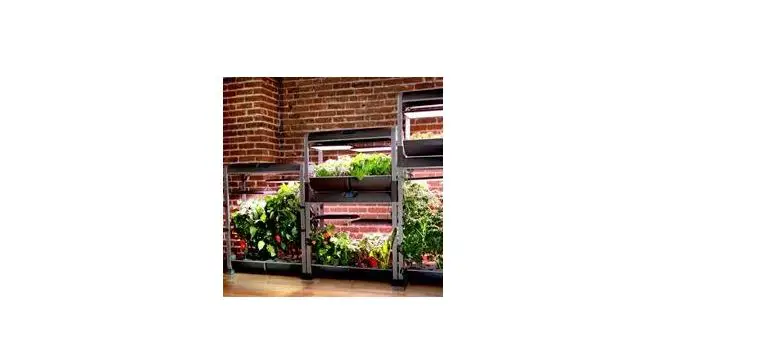 Aerogarden Farm 24basic Salad Bar Seed Pod Kit Installation Guide Aerogarden Farm 24basic Salad Bar Seed Pod Kit Installation Guide