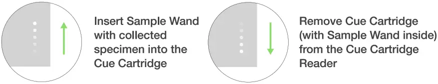 Set up Your Cue Account in Cue App - fig 2
