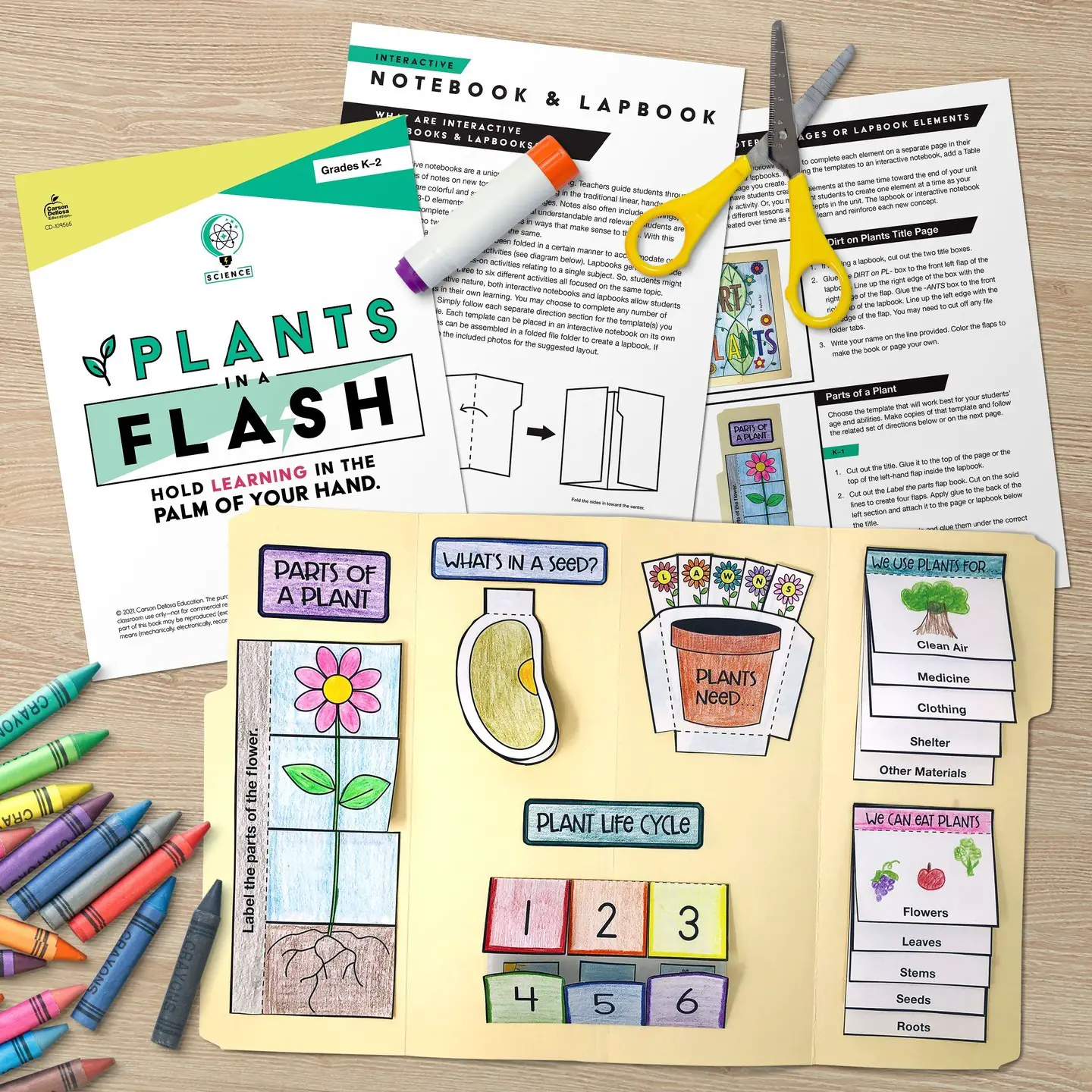 Carson Dellosa CD-109567 In a Flash Animal Life Cycles Flash Drive Grade K-2