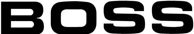 BOSS LOGO