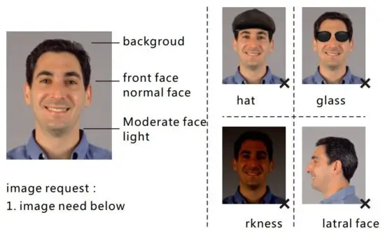 FIG 6 Image input.JPG