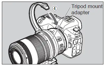 Canon 280RF1HF28 100mm F2.8 L MACRO IS 22