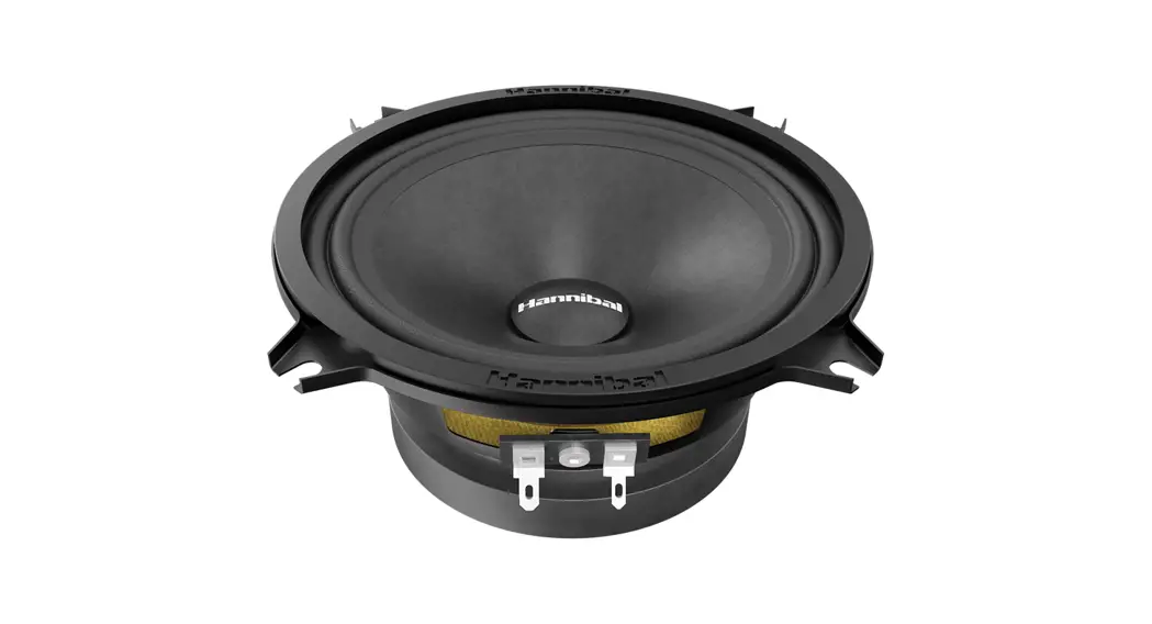 Deaf Bonce Mh-50 Hannibal Speakers Owner's Manual Deaf Bonce Mh-50 Hannibal Speakers Owner's Manual