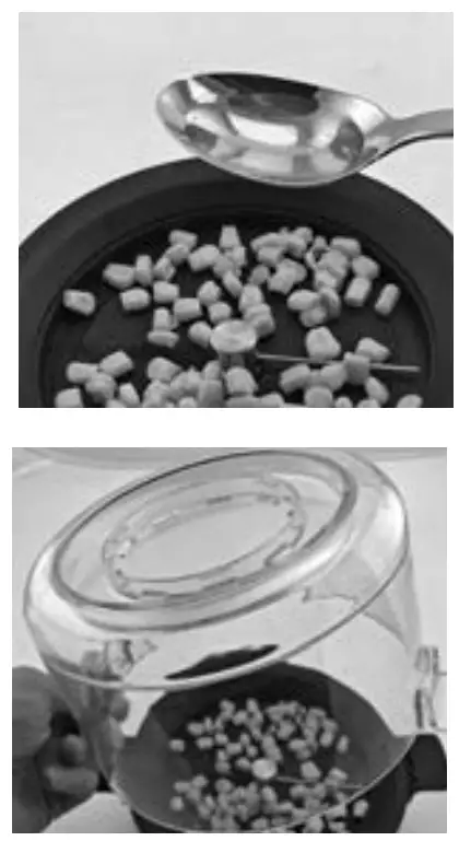 WMF 3200001082 KITCHENminis Popcorn Maker - Fig 1