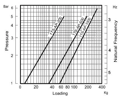 standa 1TS-AP Optical Table Supports User Manual - General information 1