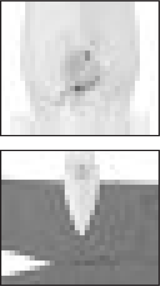 USING THE BUILT-IN CREASER